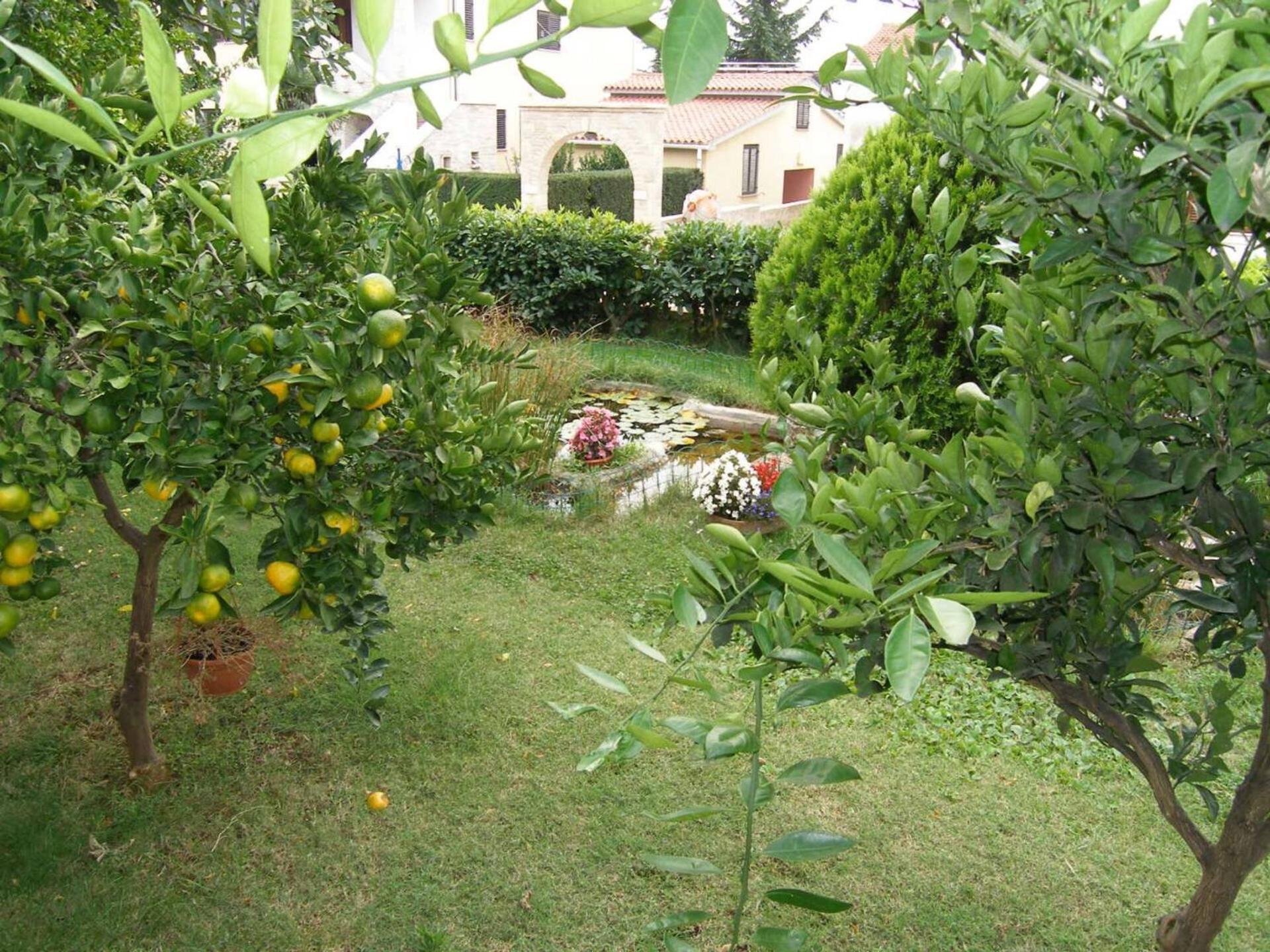Family House With 2 Apartments - Irma 메덜린 외부 사진